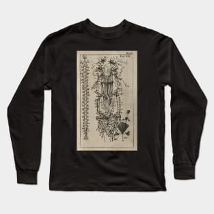 The Nervous System, Unknown, 1686 Long Sleeve T-Shirt